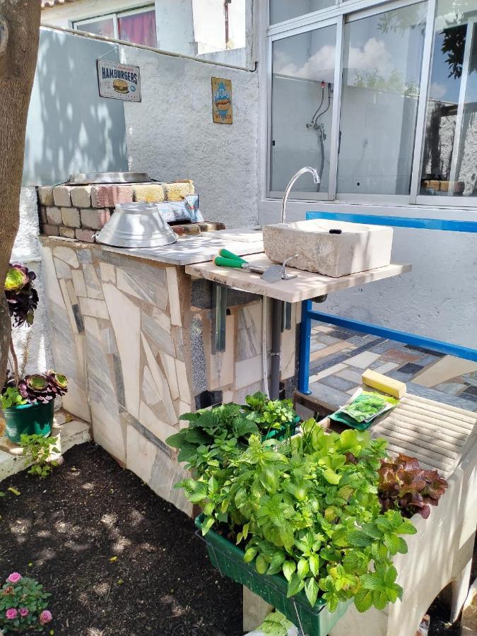 Casa Da Laranjeira Διαμέρισμα Montargil Εξωτερικό φωτογραφία