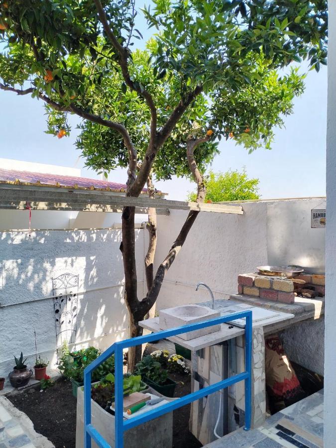 Casa Da Laranjeira Διαμέρισμα Montargil Εξωτερικό φωτογραφία