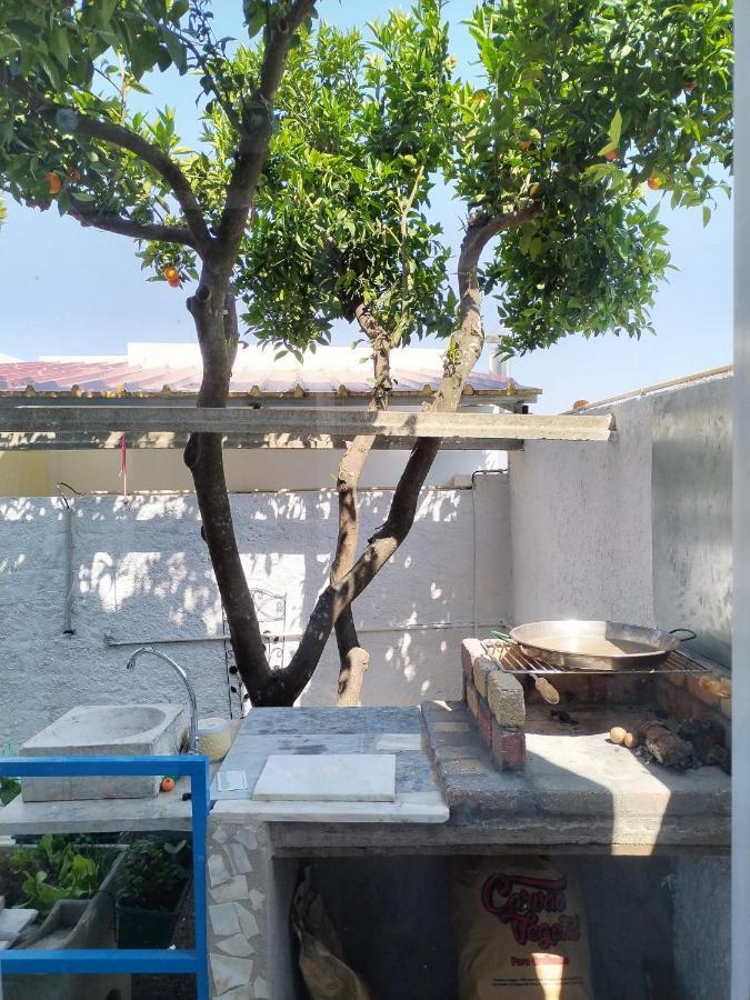 Casa Da Laranjeira Διαμέρισμα Montargil Εξωτερικό φωτογραφία